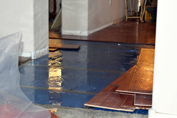 Professional Basement Flood Cleanup technician working in Kersey, CO